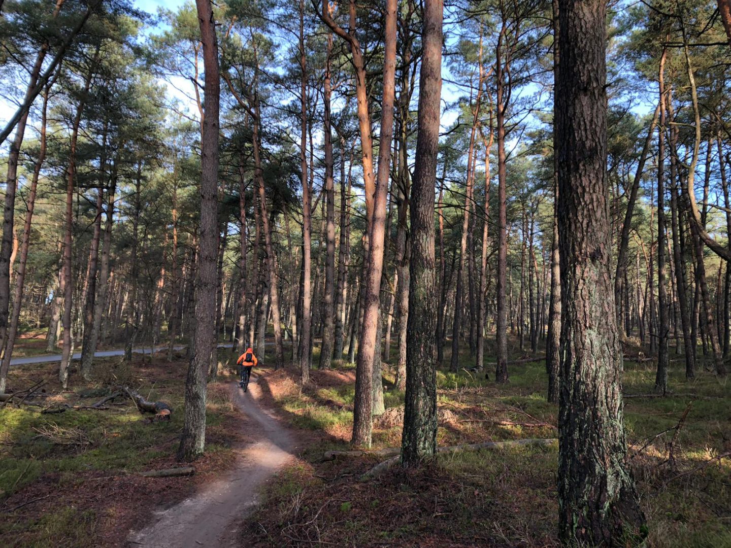 Rheden-flowy-trails