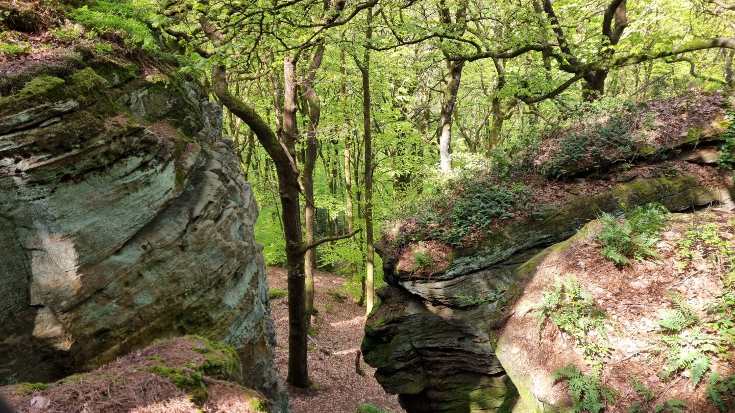 Echternach-Luxemburg-april-2024-28