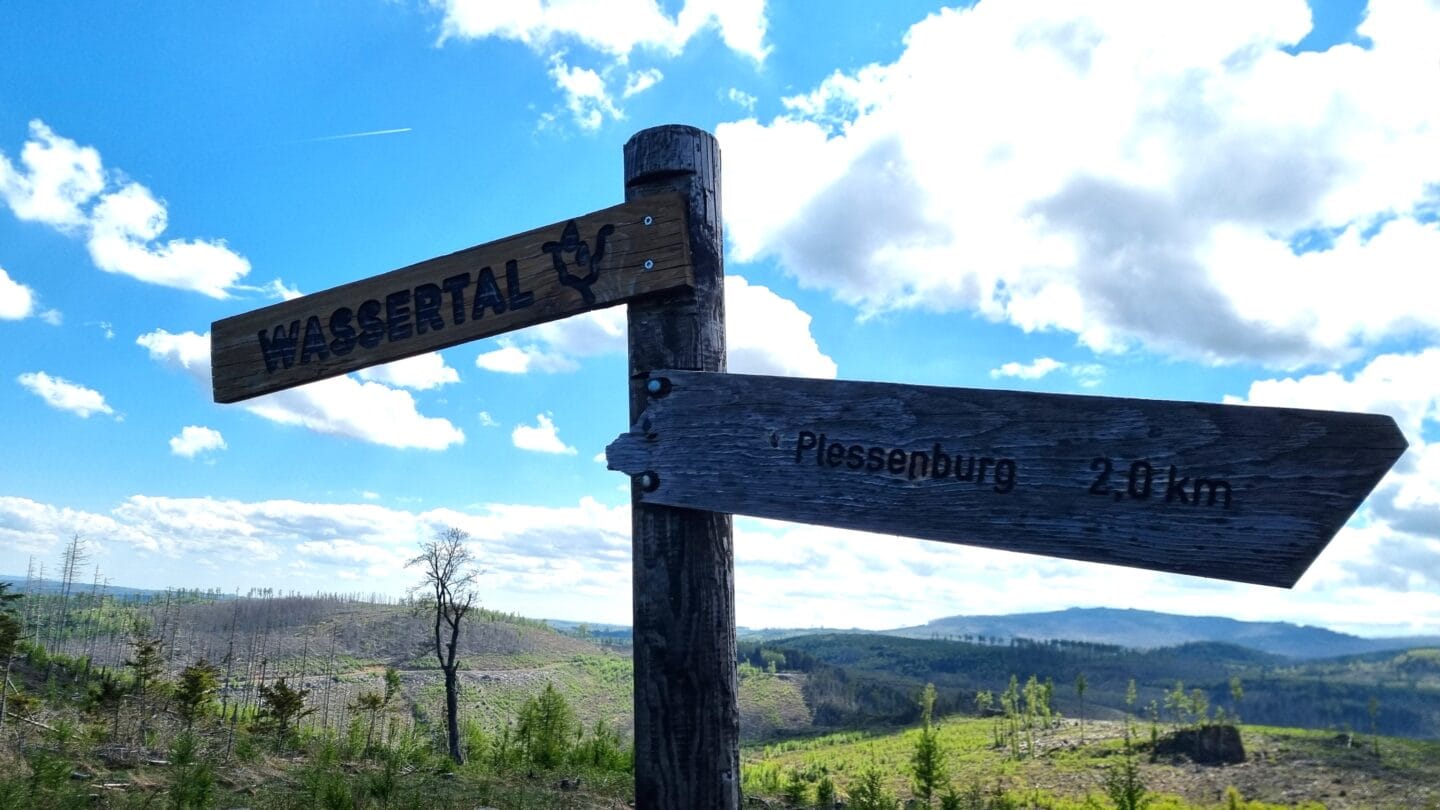 Trailpark Harz 2025 (64)